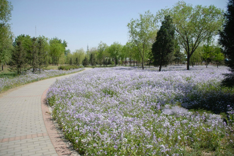 北京市朝陽(yáng)區(qū)健生養(yǎng)老院