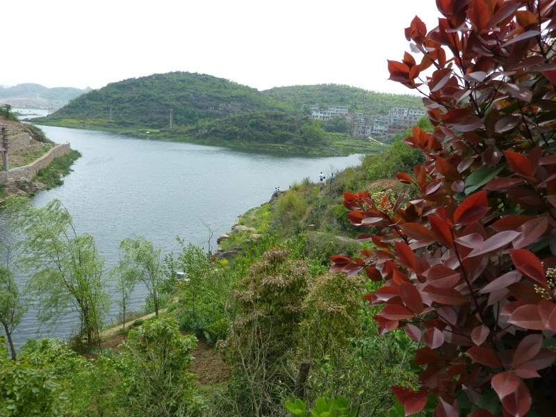 百花湖鎮(zhèn)花橋養(yǎng)老院