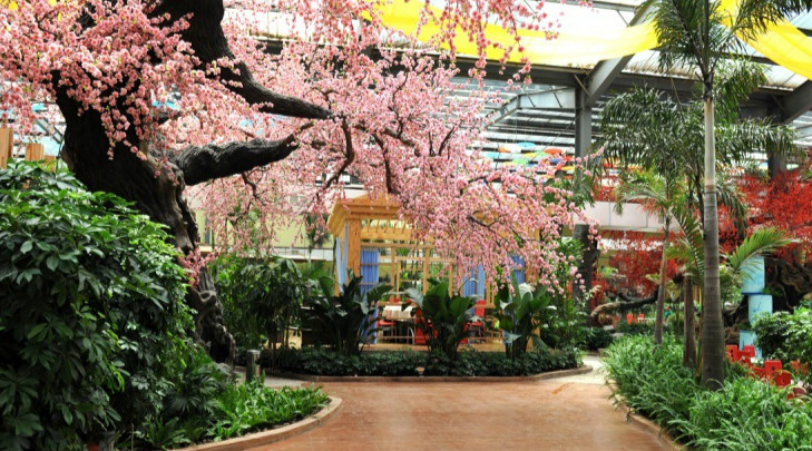 北鎮(zhèn)市春天生態(tài)園老年休養(yǎng)中心