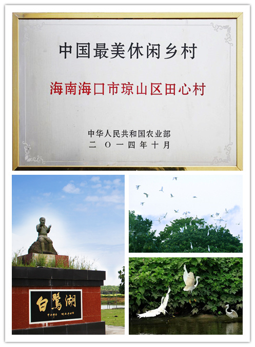 海南愛來田心生態(tài)農莊