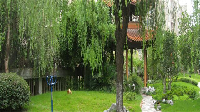 杭州市第二社會福利院
