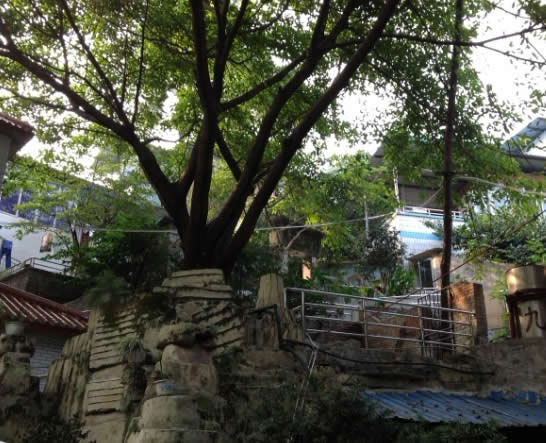 南岸九九頤園老年公寓