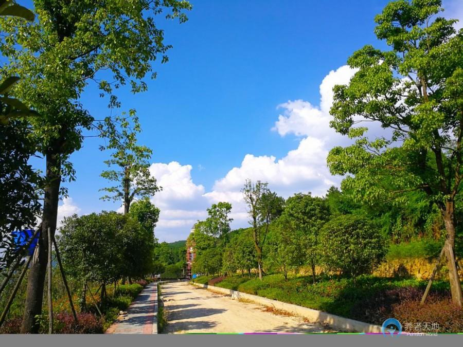 重慶御風(fēng)天地森林康養(yǎng)莊園