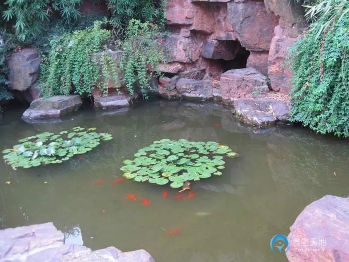 上海康樂福養(yǎng)老院