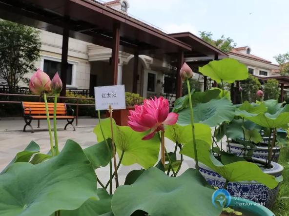 上海市嘉定區(qū)遠洋·椿萱茂虹灣長者社區(qū)