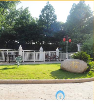 上海市長(zhǎng)寧區(qū)金福第三養(yǎng)老院