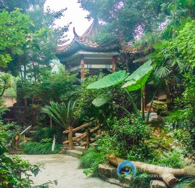 重慶沙坪壩金秋樂(lè)園養(yǎng)老院