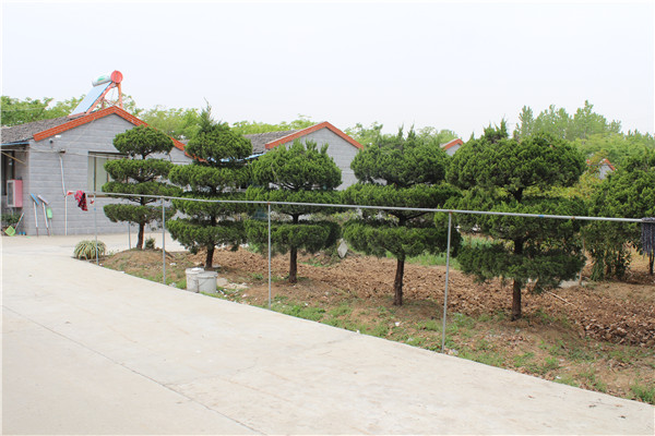 丹陽(yáng)市丹北鎮(zhèn)寶山趙家村老年關(guān)愛之家