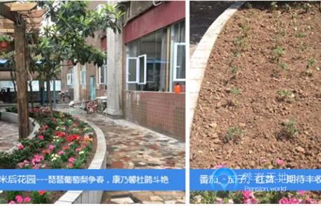 天興路社區(qū)養(yǎng)老服務中心