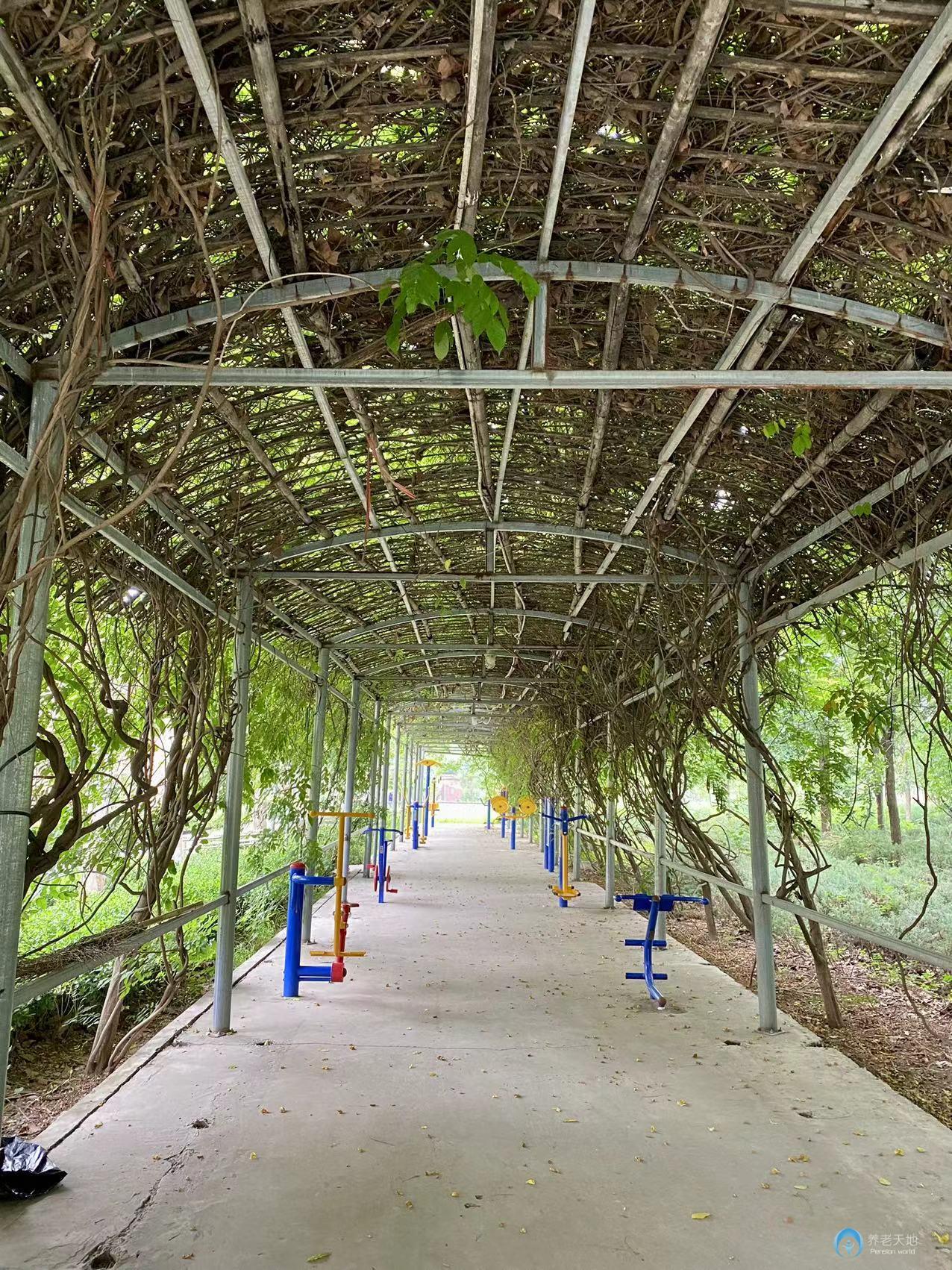 北京君和養(yǎng)老朝陽(yáng)分院（主要接收精神疾病老人）