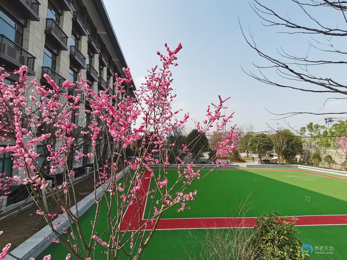重慶國投健康長者公寓（沙坪壩區(qū)社會福利護養(yǎng)中心）