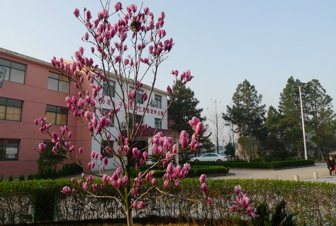 QQ截圖20190115161414.png