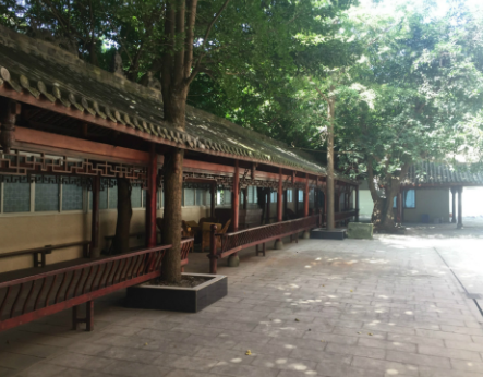 成都市武侯區(qū)長青樹養(yǎng)老院2.png