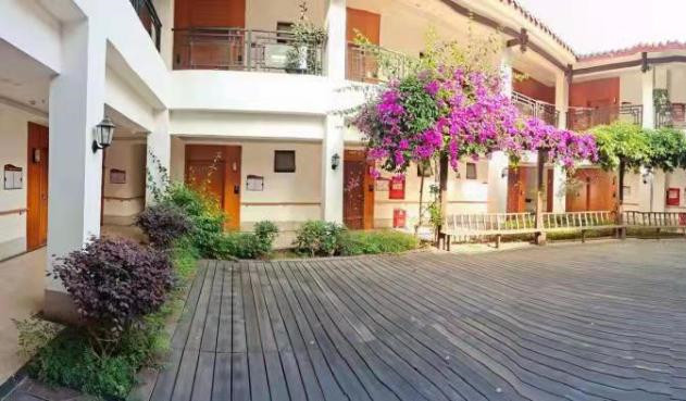 1630655985440006761.jpg 1630655985440006761.jpg